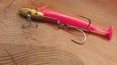 出遅れ太刀魚間に合った