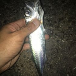 名港ライトゲーム