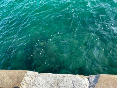 餌釣りとメバリング