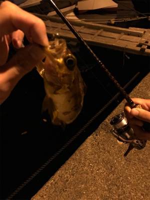 御所浦ライトゲーム