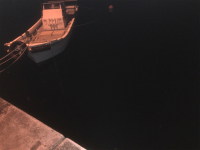 メバリング断念