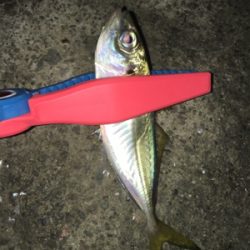 ライトロックandアジング