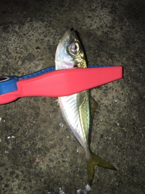 ライトロックandアジング