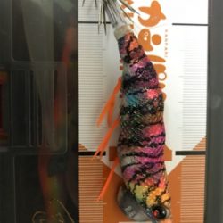 御所浦島にてエギング