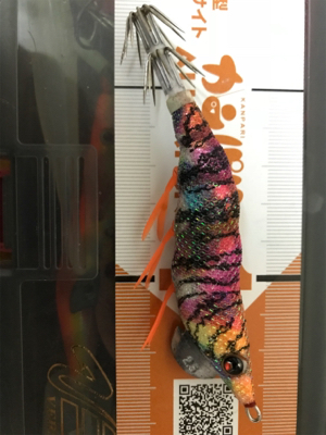 御所浦島にてエギング