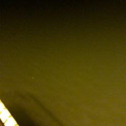 ナイトアジング