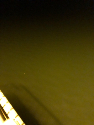 ナイトアジング