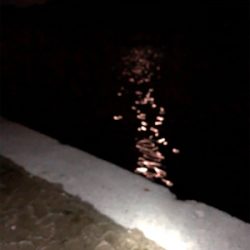 ナイトアジング