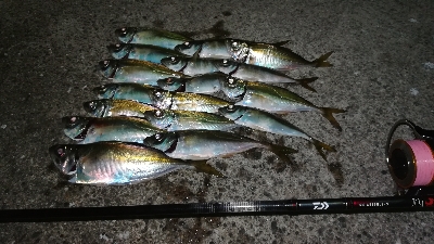 ナイトアジング