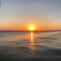 活性は高いのか？