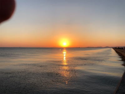 活性は高いのか？