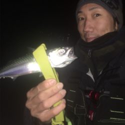 ナイトアジング/サーベリング☆五目達成