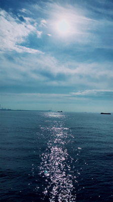 秋の青物狩れず。。