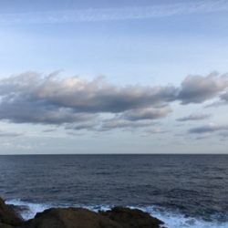 アジングゲーム