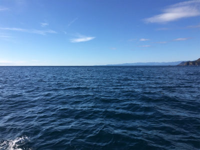 マイボートで紀北ジギング釣行