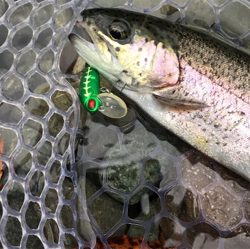 1Hit1ルアー縛り