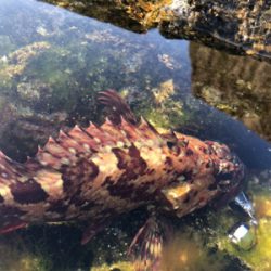 寺島ハードロック