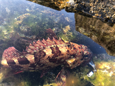 寺島ハードロック