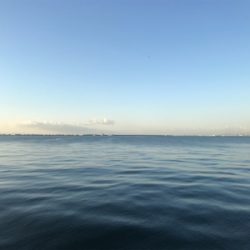 リレーでタチウオ3本ゲット ウキ→ルアー→テンヤ