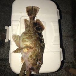 灘浜ライトゲーム