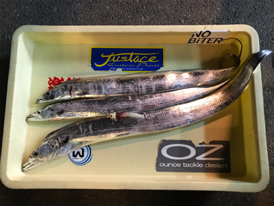 ドラゴンさん、いらっしゃ〜い