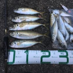 朝まずめ狙いで