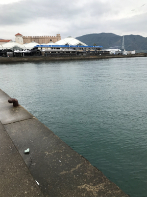 小雨の中、諦めずに頑張った…。