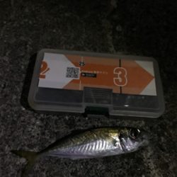 初牛深ライトゲーム