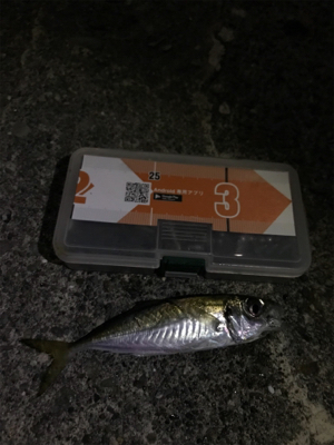 初牛深ライトゲーム