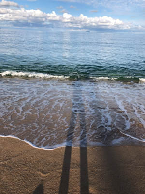 サーフシーバス