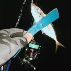 そろそろメバルかな？