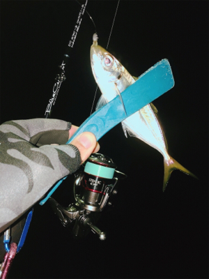 そろそろメバルかな？