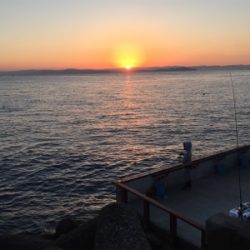 フィッシングホテルでタチウオと良型アジ