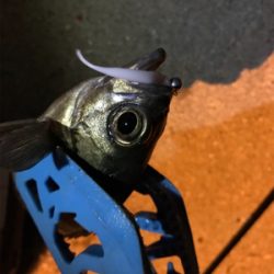 牛深ライトゲーム2