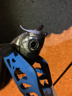 牛深ライトゲーム2