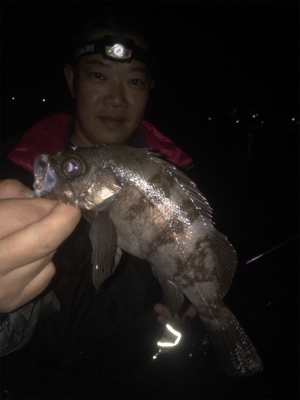 メバリングナイトゲーム☆GUNNING-STYLE