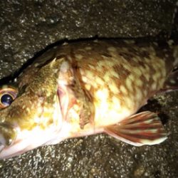 プラグが効かない…