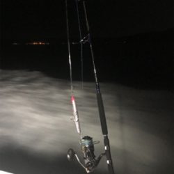 ヒラマサキャスティング