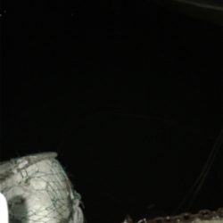 短時間アジング