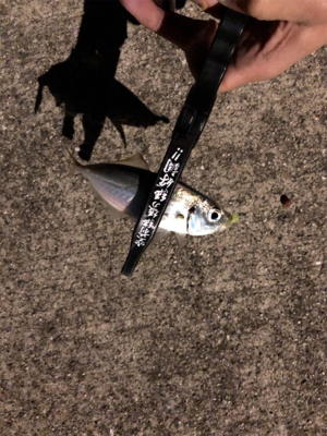 完敗からの安パイ