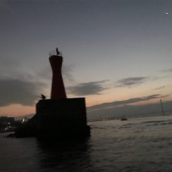 明石  鯛サビキ