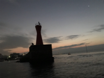 明石  鯛サビキ