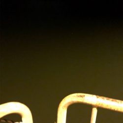 ナイトアジング