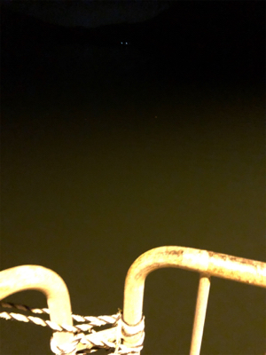 ナイトアジング