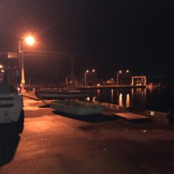 久々の新港ライトゲーム