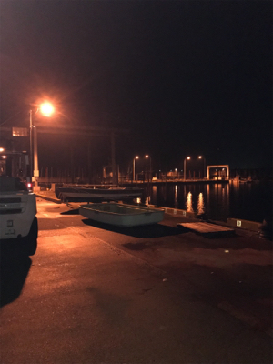 久々の新港ライトゲーム