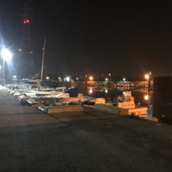 ポツリ…ポツリのヒイカ釣りσ(^_^;)