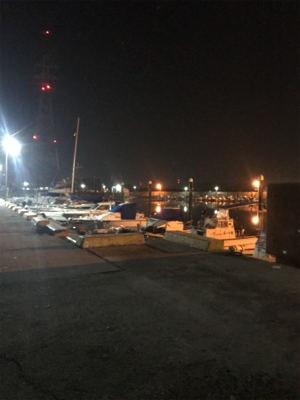 ポツリ…ポツリのヒイカ釣りσ(^_^;)