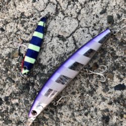 今年最後の釣り納め‼️4度目の武庫一