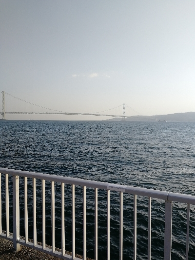 マイクロジギング